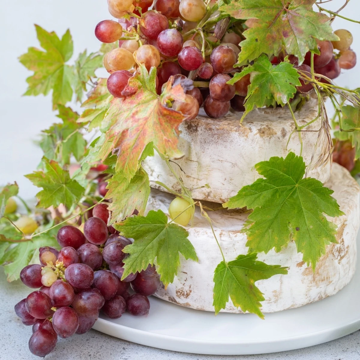 Rustic Vineyard cheese platter with fresh grapes, draped grapevines, ready for serving.