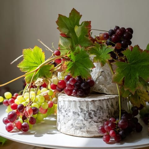 Rustic Vineyard Cheese Grapes